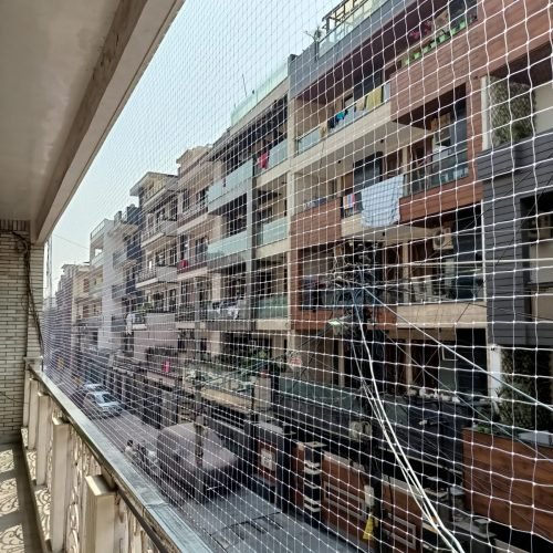 WhatsApp Image 2025-01-14 at 4.45.03 PM