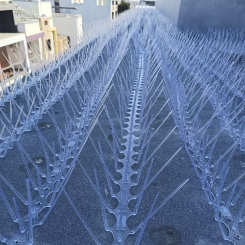 WhatsApp Image 2025-01-18 at 8.18.05 PM